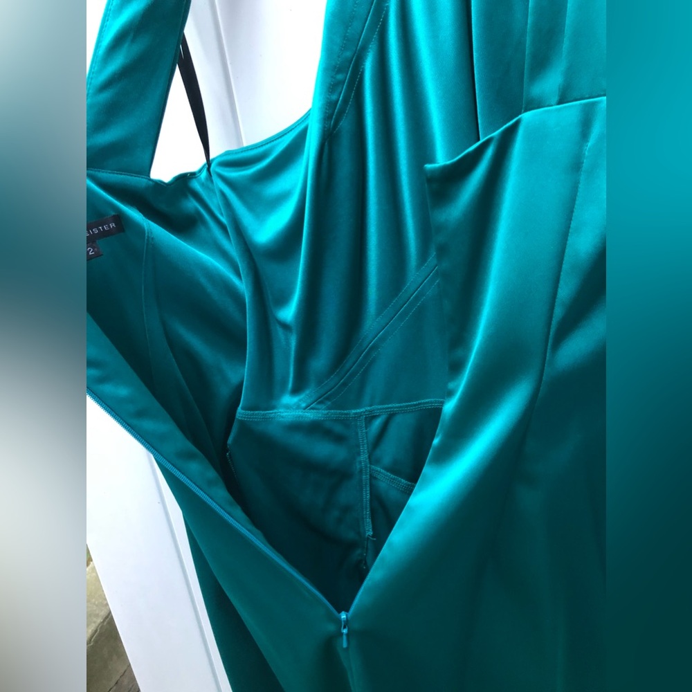 David Meister Midi Dress - Picture 4 of 13